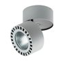 Светильник накладной Forte Lightstar 381393