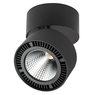 Светильник накладной Forte Muro Lightstar 213857