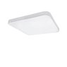 Светильник накладной Arco Lightstar 226204 Светильник накладной Arco Lightstar 226204