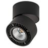 Светильник накладной Forte Muro Lightstar 214817 Светильник накладной Forte Muro Lightstar 214817