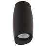Светильник накладной Ballo Lightstar 214467 Светильник накладной Ballo Lightstar 214467