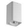 Светильник накладной Monocco Lightstar 212536 Светильник накладной Monocco Lightstar 212536