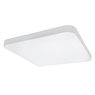 Светильник накладной Arco Lightstar 226264 Светильник накладной Arco Lightstar 226264