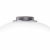 Настольная светодиодная лампа Colore Lightstar 805906