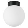 Плафон потолочный Globo Lightstar 812017 Плафон потолочный Globo Lightstar 812017