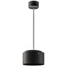 Подвесной светильник Zolla Zolla Lightstar ZP3917