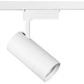 Светильник светодиодный для 1-фазного трека Volta Lightstar 229436