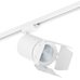 Комплект со светильником Canno Canno Lightstar C326496 Комплект со светильником Canno Canno Lightstar C326496