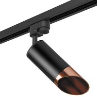 Комплект со светильником Rullo Rullo Lightstar R1T437130 Комплект со светильником Rullo Rullo Lightstar R1T437130