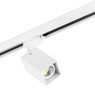 Комплект со светильником Rullo Rullo Lightstar A3T216336 Комплект со светильником Rullo Rullo Lightstar A3T216336