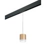 Комплект со светильником Rullo для трека PRO Rullo Lightstar PRORP349080 Комплект со светильником Rullo для трека PRO Rullo Lightstar PRORP349080