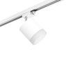 Комплект со светильником Rullo Rullo Lightstar R1T348680 Комплект со светильником Rullo Rullo Lightstar R1T348680