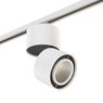Комплект со светильником Forte Forte Muro Lightstar A1T214816 Комплект со светильником Forte Forte Muro Lightstar A1T214816