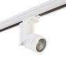 Комплект со светильником Illumo Illumo F Lightstar A3T051016 Комплект со светильником Illumo Illumo F Lightstar A3T051016