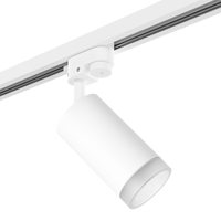 Комплект со светильником Rullo Rullo Lightstar R1T43630 Комплект со светильником Rullo Rullo Lightstar R1T43630