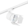 Комплект со светильником Canno Canno Lightstar C126296 Комплект со светильником Canno Canno Lightstar C126296