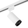 Комплект со светильником Rullo Rullo Lightstar R1T4363437 Комплект со светильником Rullo Rullo Lightstar R1T4363437