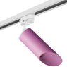 Комплект со светильником Rullo Rullo Lightstar R1T43232 Комплект со светильником Rullo Rullo Lightstar R1T43232