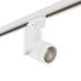Комплект со светильником Illumo Illumo F Lightstar A1T051016 Комплект со светильником Illumo Illumo F Lightstar A1T051016