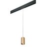 Комплект со светильником Rullo для трека PRO Rullo Lightstar PRORP440 Комплект со светильником Rullo для трека PRO Rullo Lightstar PRORP440