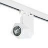 Комплект со светильником Illumo Illumo Q Lightstar A3T051056 Комплект со светильником Illumo Illumo Q Lightstar A3T051056