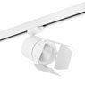 Комплект со светильником Canno Canno Lightstar C156296 Комплект со светильником Canno Canno Lightstar C156296