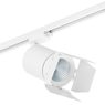 Комплект со светильником Canno Canno Lightstar C326296 Комплект со светильником Canno Canno Lightstar C326296
